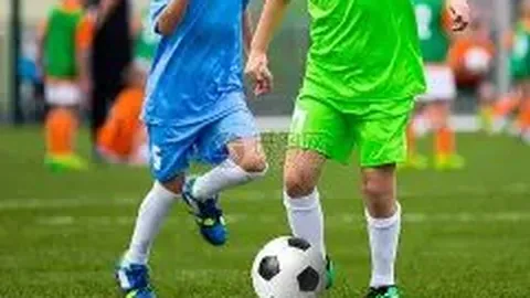 杏彩娱乐 资讯 101541 lat