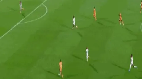 伊恩-赖特炮轰女足欧冠场地：赛地状况不堪入目。